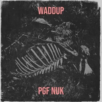 Waddup-cover