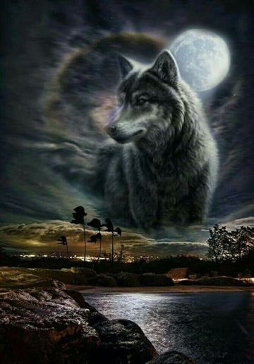 coveImg
