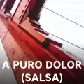 A Puro Dolor (Salsa)-cover