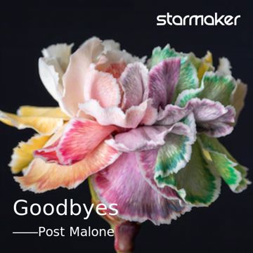 Goodbyes -cover