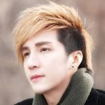 Động Phòng Hoa Chúc-cover