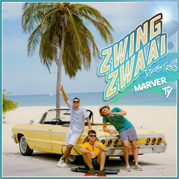 Zwing Zwaai-cover