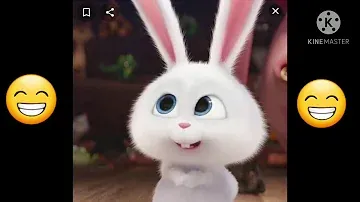 هندي