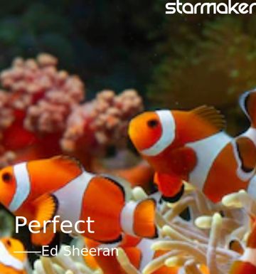 Perfect-cover