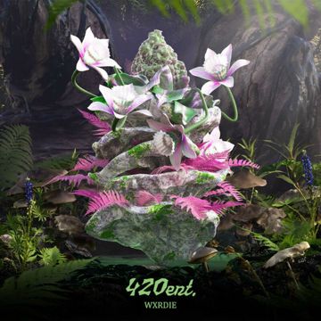 Nép Vào Sát Vào-cover
