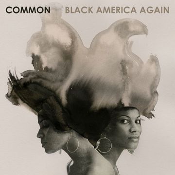 The Light_Common-cover