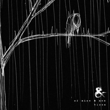Bloom-cover