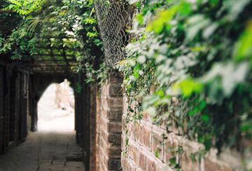 m-vnh-hngle-quyen-qua-ng-nh-em-cover-image