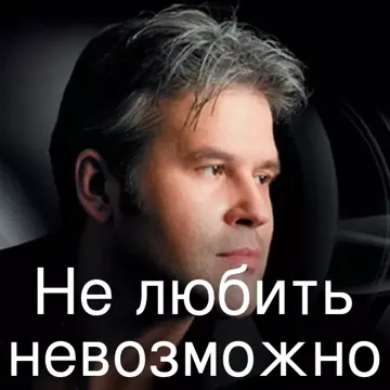 Не любить невозможно