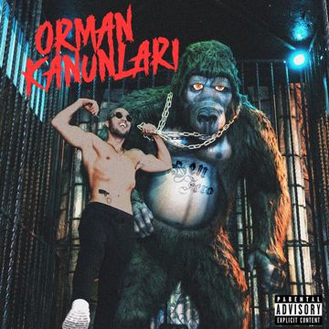 Demet Akalın-cover