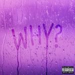 Why-cover
