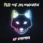 Nie Vergessen(MADIZIN & Fuju Mix)(Remix)-cover