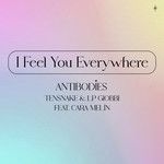 I Feel You Everywhere (Antibodies)-cover