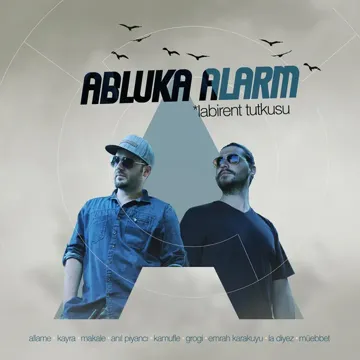 Salak Oğlan-cover