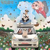 독립음악-cover