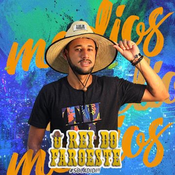 É Só Botada (feat. MC Levin)-cover