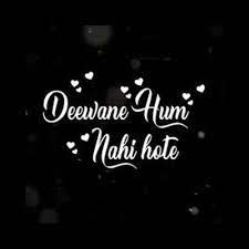 Deewane Hum Nahi-cover