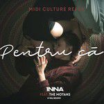 Pentru Că(Midi Culture Remix)(Remix)