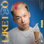 Like I Do-cover