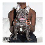 Dog-cover
