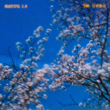 Beautiful 2.0-cover