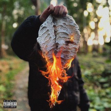 珍珠-cover