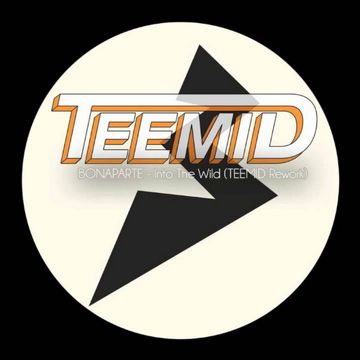 Into The Wild (TEEMID Remix)-cover