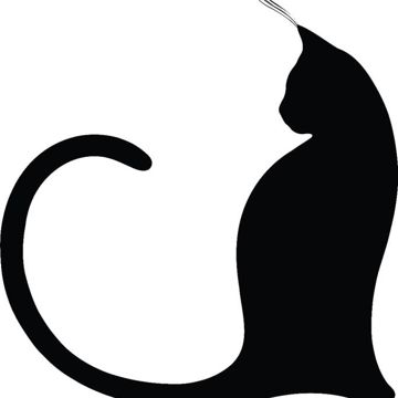 coveImg