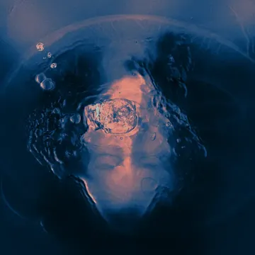 Hain-cover