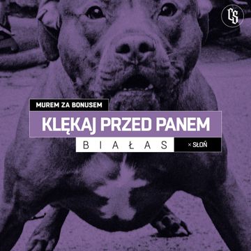 Klękaj przed panem-cover