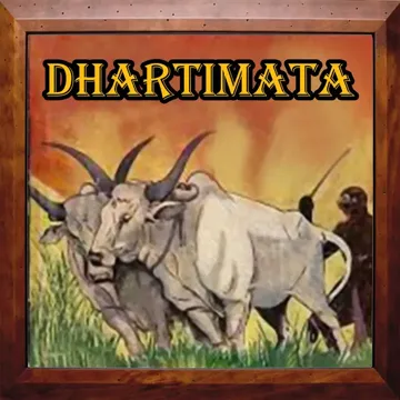 Duniya Rang Rangili Bada-cover