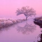 taio-cruz-world-in-our-hands-cover-image