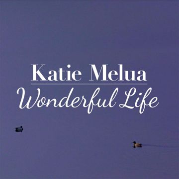 Wonderful Life-cover