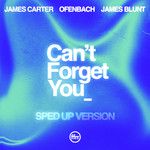 Can’t Forget You (feat. James Blunt)(Sped Up Version)-cover