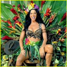 Roar (Acoustic Version)-cover