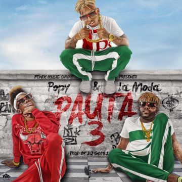 Pauta 3