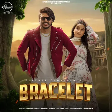 Bracelet-cover