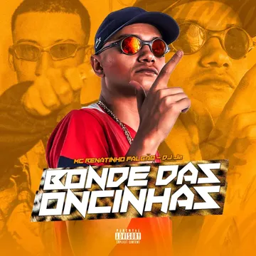 Bonde das Oncinhas-cover