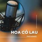 Hoa Cỏ Lau(Remix)-cover