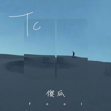 傻瓜-cover