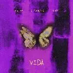 Vida-cover