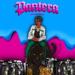 Pantera-cover