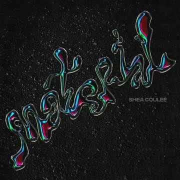 MATERIAL-cover