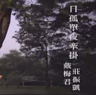 日孤單夜牽掛-cover