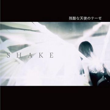 Shake-cover