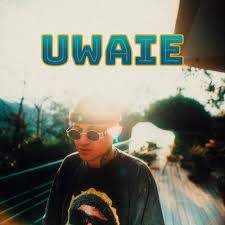 UWAIE-cover