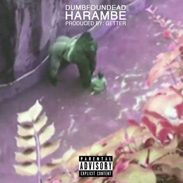 Harambe-cover