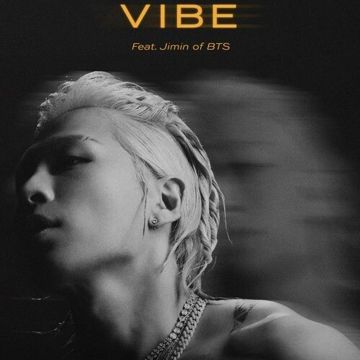 Vibe-cover