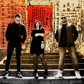 hummingbird-shadow-cover-image