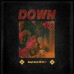 Down-cover